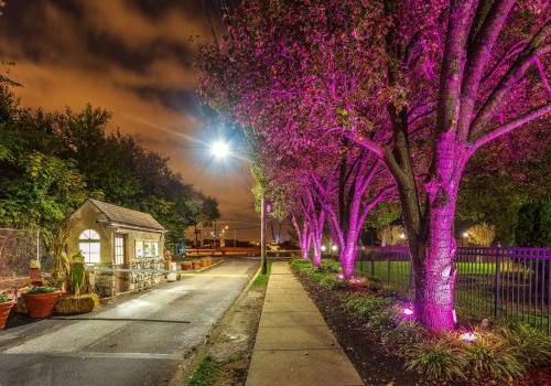 night time exterior