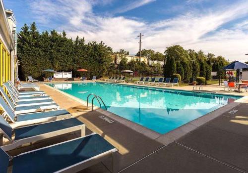 An outdoor pool with lounge chairs and umbrellas at Enclaves at Packer Park apartments for rent